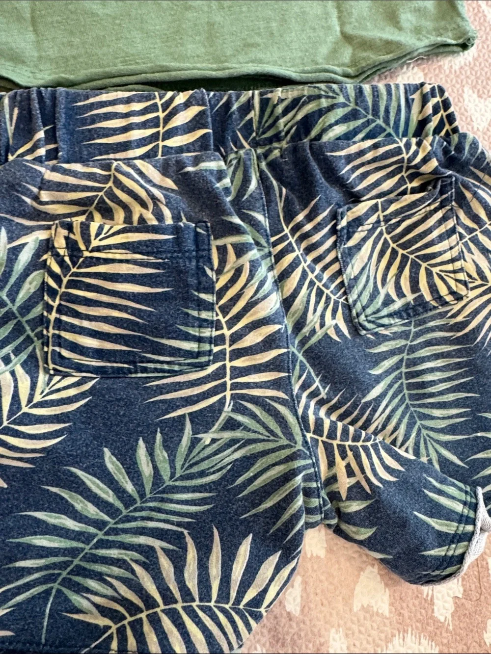 Splendid Boys Tropical Palm Print Shorts & Green Tee Set 18-24M